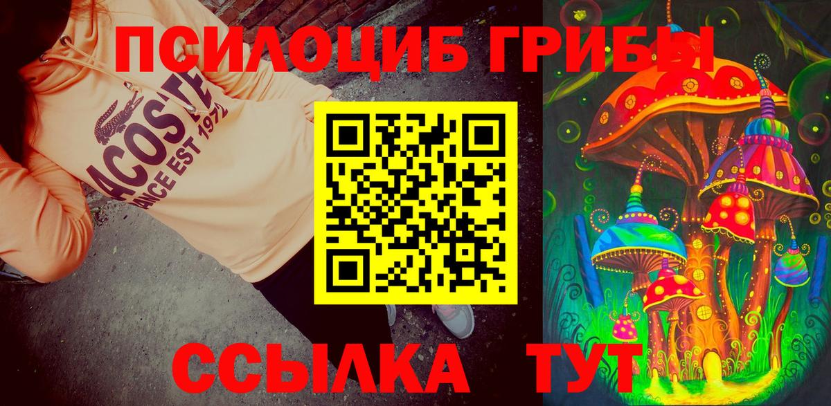 Торжок  где можно купить наркотик  Галлюциногенные грибы ЛСД  Вход с VPN  Галлюциногенные грибы Psilocybe 