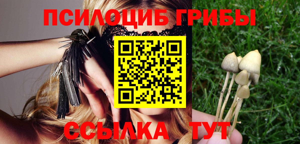 Псилоцибиновые грибы прущие грибы Торжок